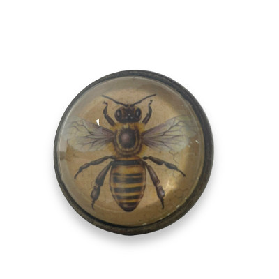 Gałka metalowa uchwyt z pszczołą szklana dekoracja